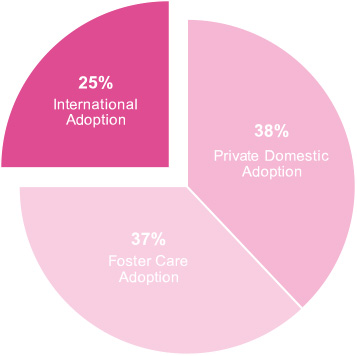 adoption statistics