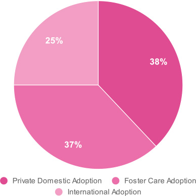 Adoption Statistics